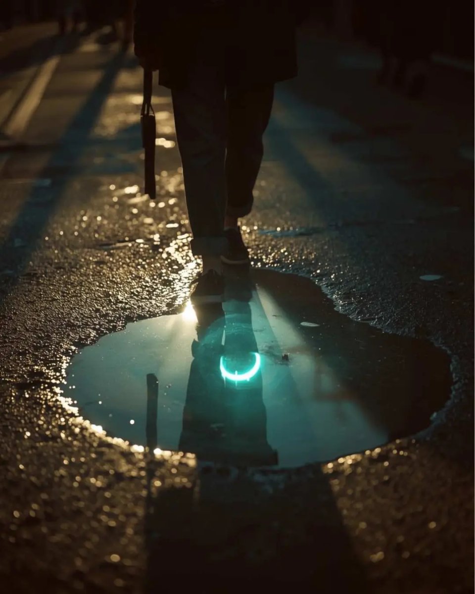 Poster questa Światła nocy: neon w oddali