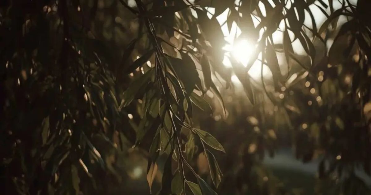 Stop: wind in trees — Quest-ly video challenge preview